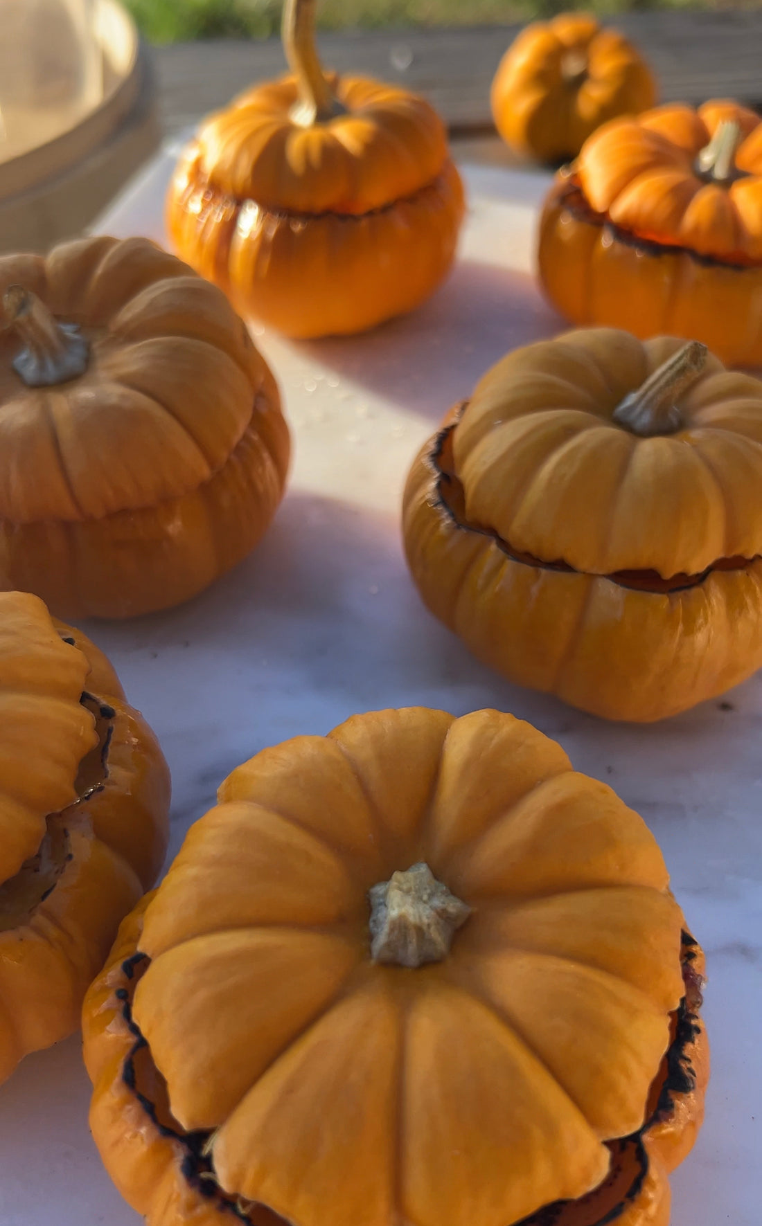 Jack-Be-Little Pumpkin Crème Brûlée